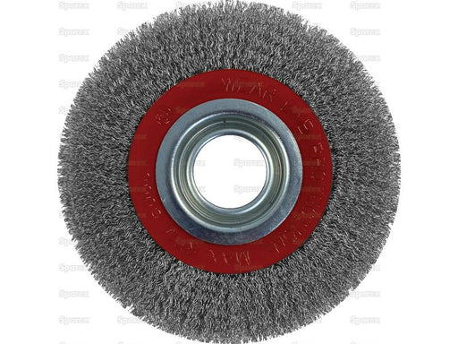 Escova de aço redonda 150mm (S.20194)