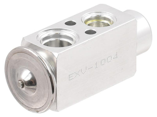 Válvula de expansão (S.106800)