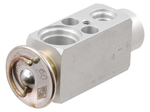 Válvula de expansão (S.106802)