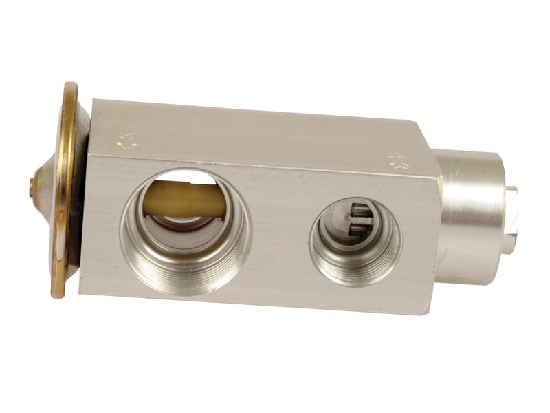 Válvula de expansão (S.106832)