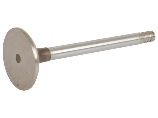 Valvula admissão (S.107276)