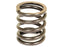 Mola da valvula (S.107282)