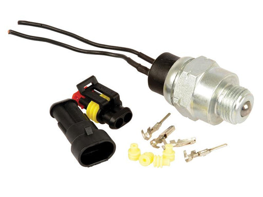 Interruptor de segurança (S.107390)