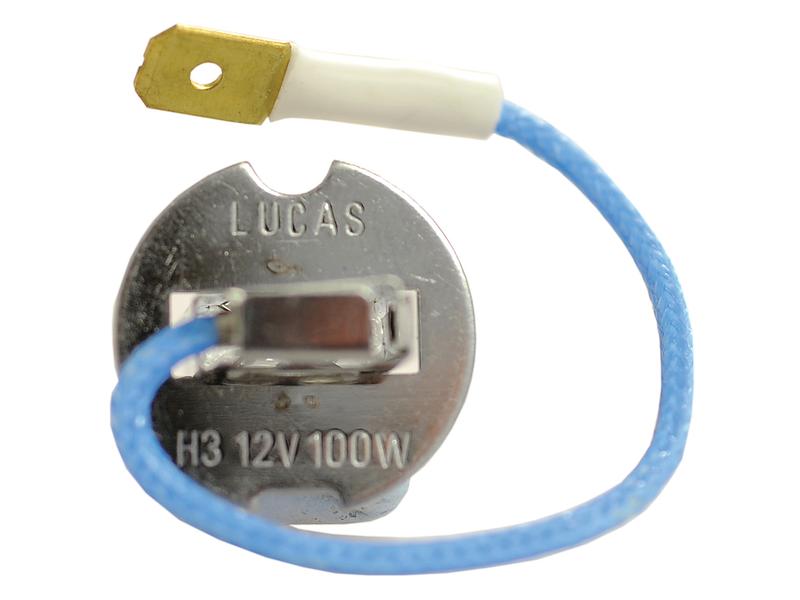 Lâmpada 12V PK22s Caixa 1 un. (S.109979)