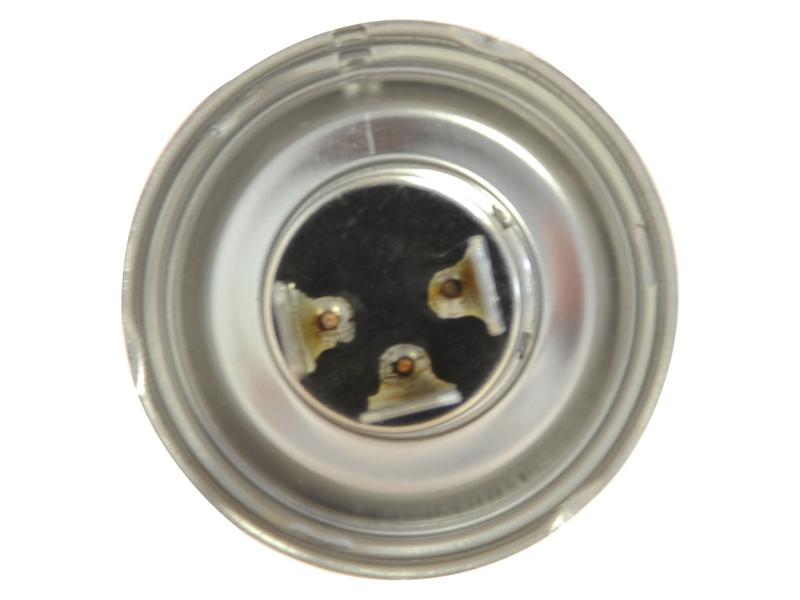 Lâmpada 24V P45t Caixa 1 un. (S.109986)