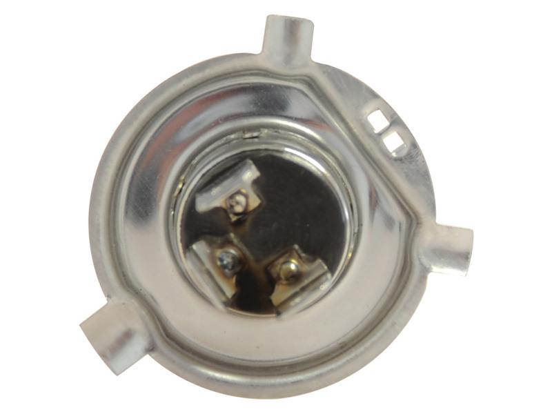 Lâmpada 12V P43t Caixa 1 un. (S.109987)