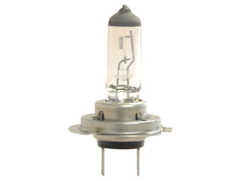 Lâmpada 12V PX26d Caixa 1 un. (S.109990)