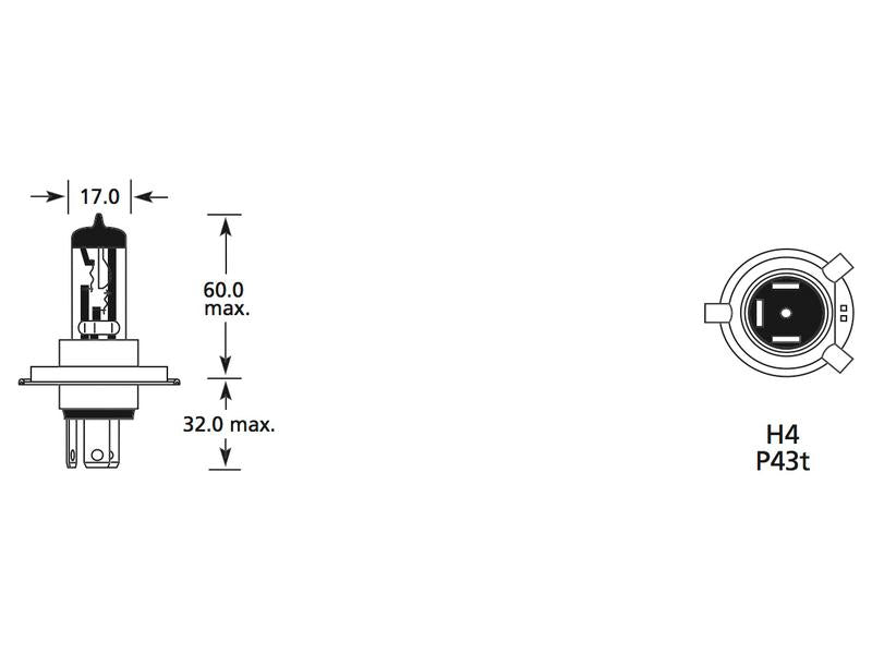 Lâmpada 12V P43t Caixa 1 un. (S.109991)