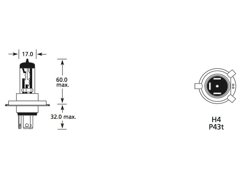 Lâmpada 12V P43t Blister 1 un. (S.110036)