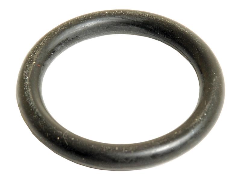 O'ring 5 x 31mm (S.110881)
