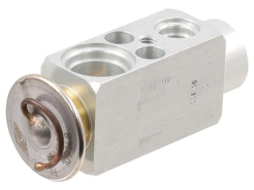 Válvula de expansão (S.111986)