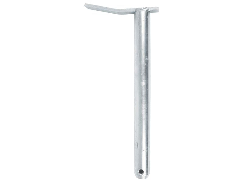 Cavilha 25x250mm (S.11351)