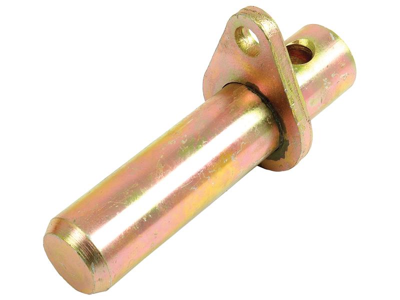 Cavilhão do eixo (S.11554)