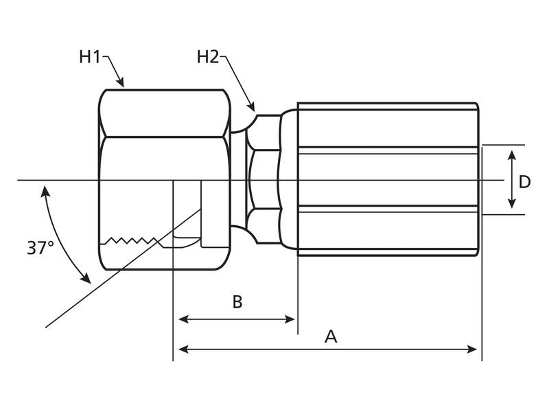 Gates Racord JIC 37° 1/2'' x 3/4'' Fêmea (S.116194)
