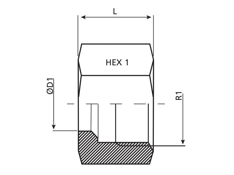 Dicsa Porca M36 x 2 (28L) (S.116828)