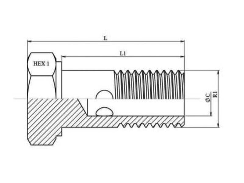 Dicsa Parafuso de retorno M14 x 1.5 (S.116864)