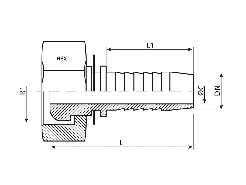 Dicsa Racord 24°/60° 1/2'' x M22 x 1.5 (15L) Rosca fêmea Direito (S.116877)