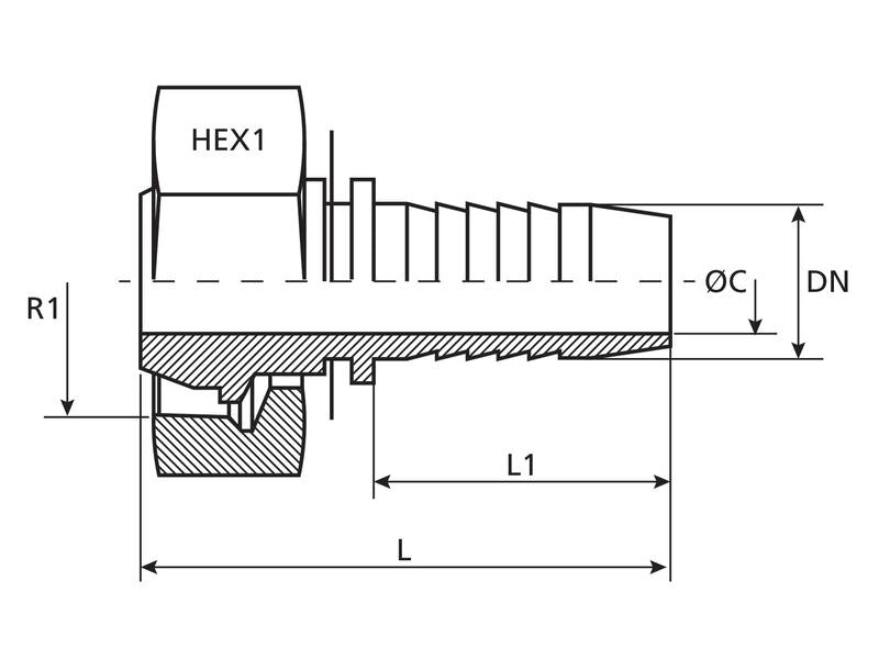 Dicsa Racord 24° 1/2'' x M24 x 1.5 Rosca fêmea Direito (S.116900)