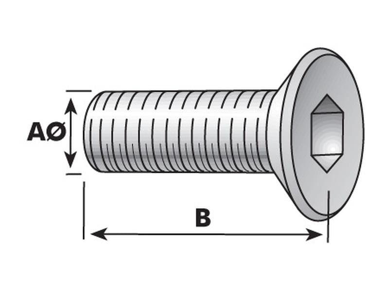 Parafuso, Tamanho da rosca: M6x10mm (DIN 7991) (S.11795)