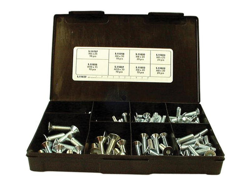 Sortido 110 un. Parafusos M6 - M10x25 - 35mm (S.11839)