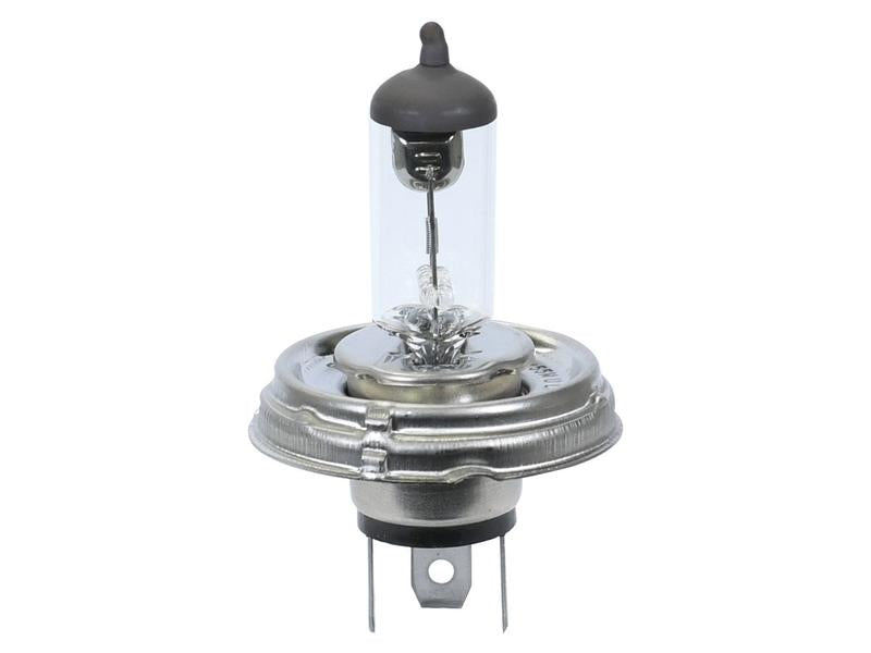 Lâmpada 12V P45t Agripak 1 un. (S.12356)