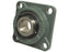 NTN SNR Chumaceira (UCFX10) (S.129962)