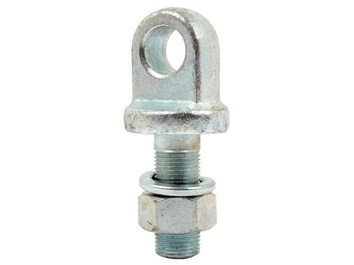 Perne, M20x65mm, Ø20mm (S.13265)