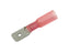 Terminal macho termo retractil Vermelho (S.13409)