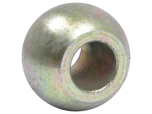 Rotula (Cat. 1/1) (S.1369)