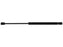 Amortecedor (S.137041)