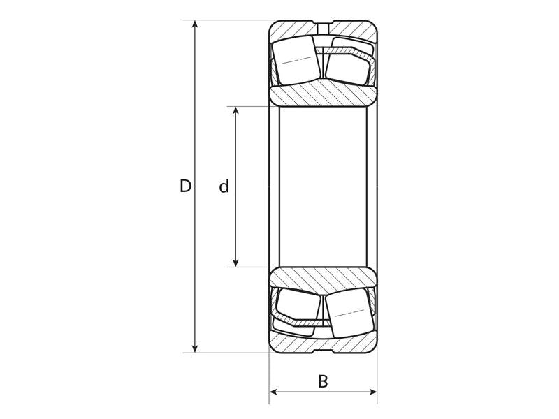 NTN SNR Rolamento (21309EAW33) (S.138421)