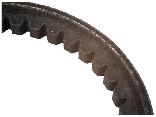 Correia XPB1525 (S.138959)