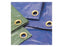 Oleado - 9.0 x 14M (S.13904)