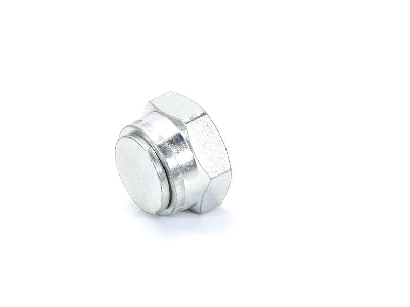 Adaptador hidráulico 1'' BSP Tampa de vedação giratória (S.14125)