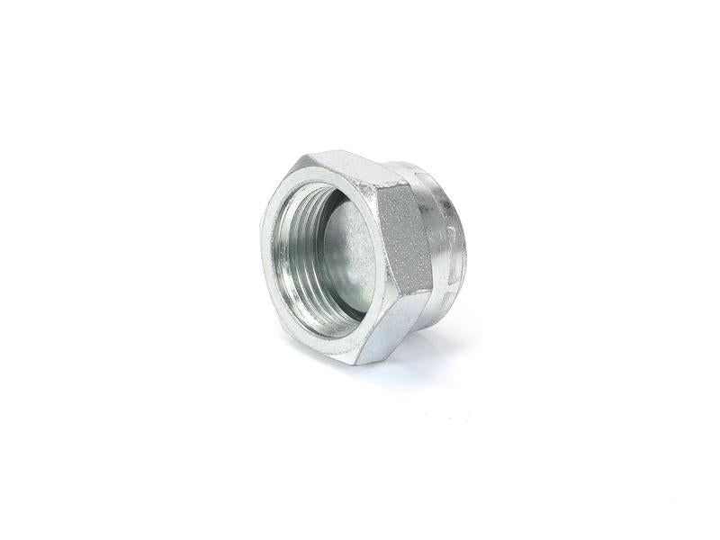 Adaptador hidráulico 1'' BSP Tampa de vedação giratória (S.14125)