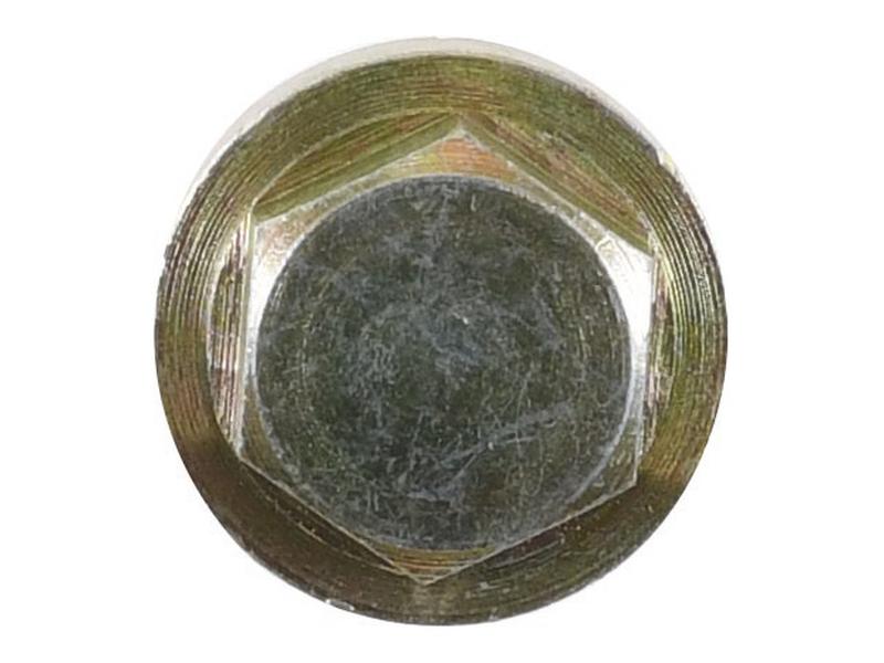 Bujão (S.144277)