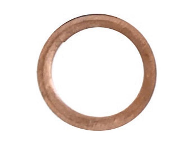 Anilha de bico injector (S.145040)