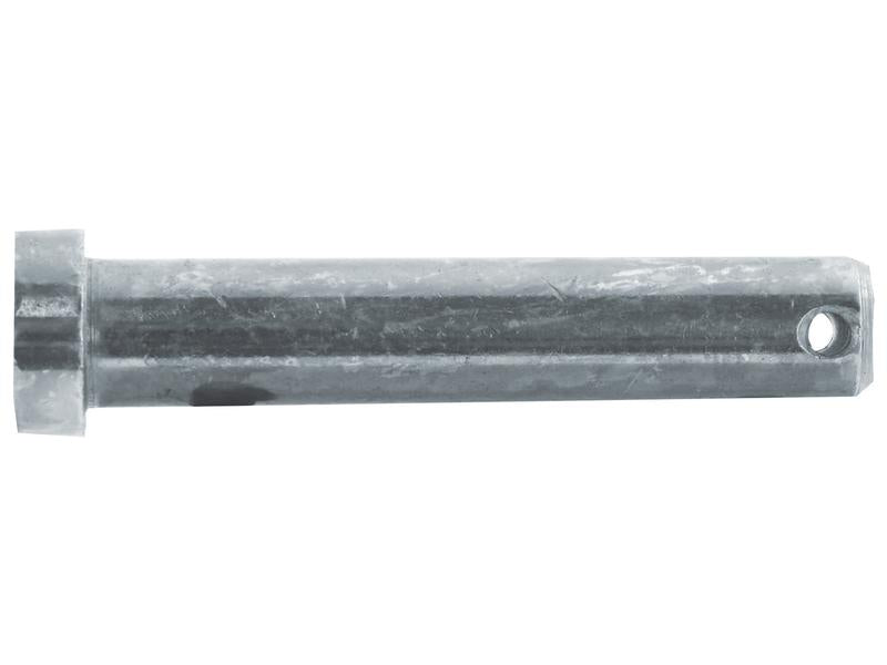 Cavilha 19x91mm Cat. 1 (Ø19mm) (S.149570)