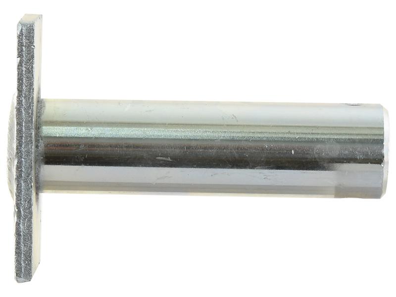 Cavilha 30x89mm Cat. 30mm (S.149628)