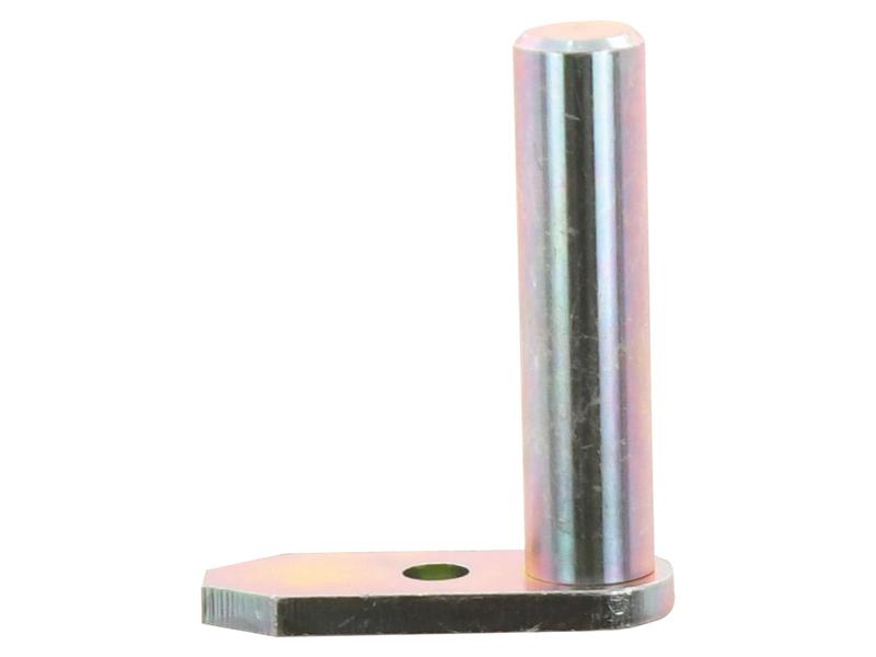 Cavilha 25x29.5mm Cat. 2 (Ø25mm) (S.150000)