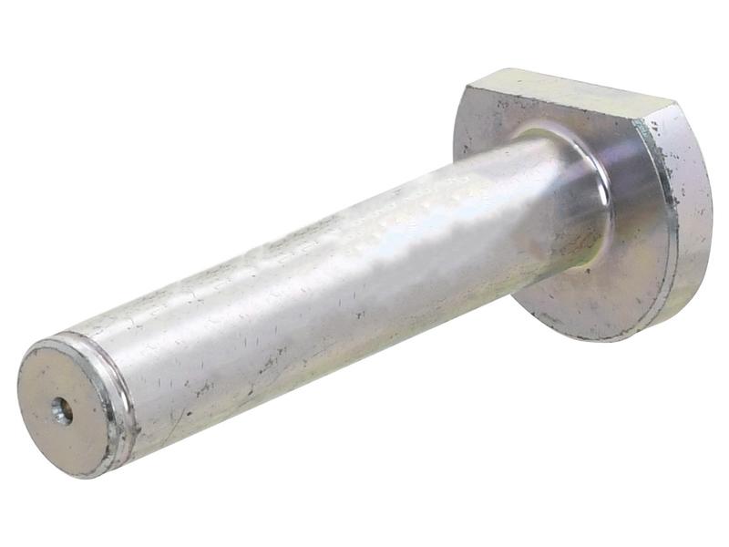 Cavilha 22x Cat. 1 (Ø22mm) (S.150029)