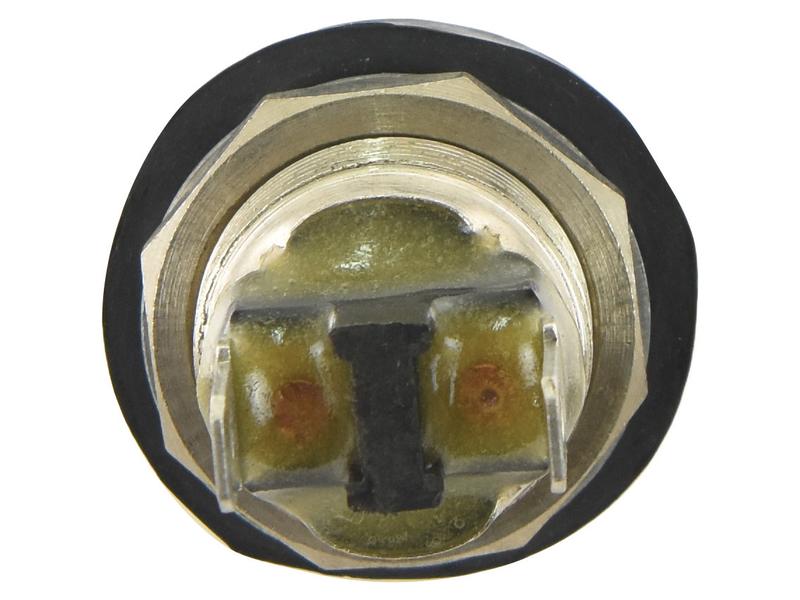 Interruptor Horn (S.152299)