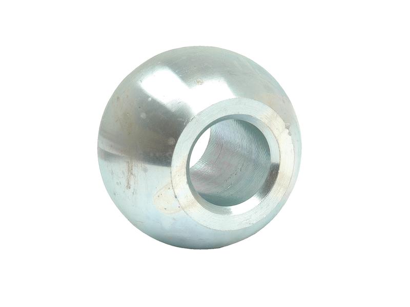 Rotula (Cat. 1/1) (S.15353)