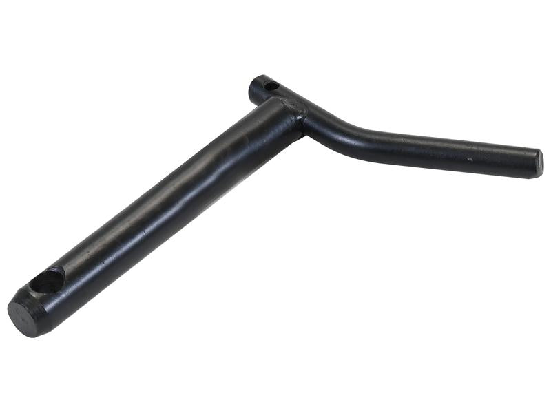 Cavilha 19x123mm Cat.1 (Ø19mm) Reforçado (S.164524)