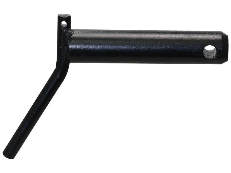 Cavilha 30x123mm Cat.30mm Reforçado (S.164528)