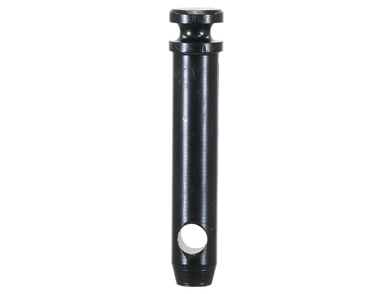 Cavilha 19x76mm Cat. 1 (Ø19mm) Reforçado (S.164562)