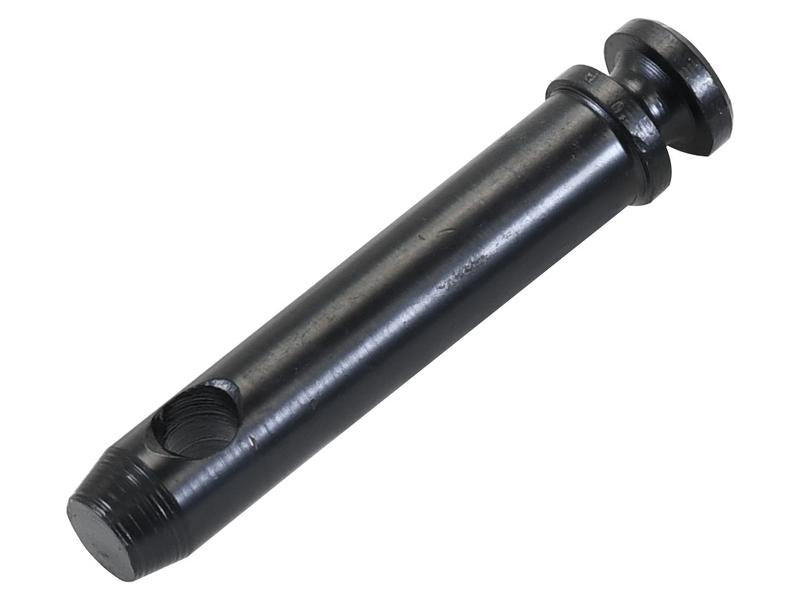 Cavilha 19x76mm Cat. 1 (Ø19mm) Reforçado (S.164562)