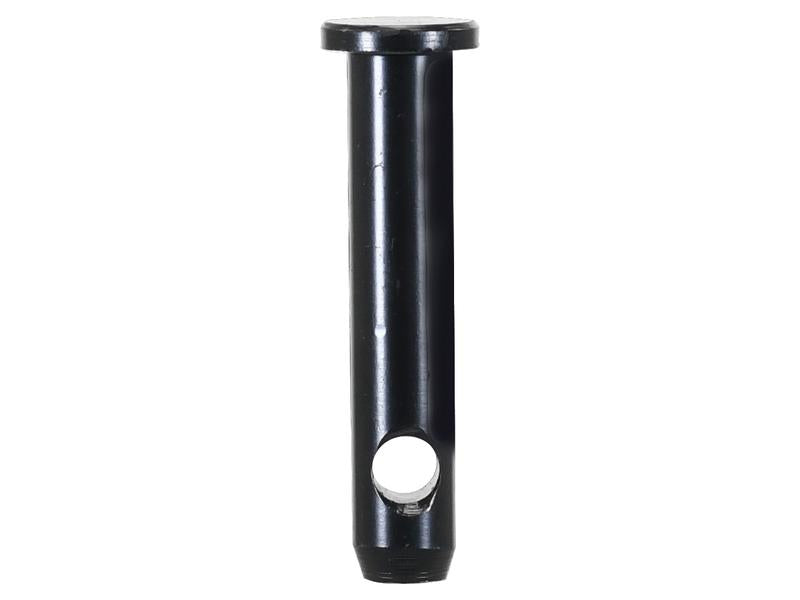 Cavilha 19x76mm Cat. 1 (Ø19mm) Reforçado (S.164563)