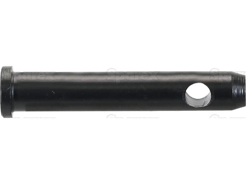 Cavilha 19x88mm Cat. 1 (Ø19mm) Reforçado (S.164564)