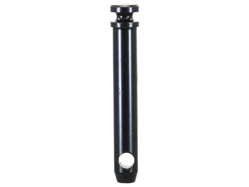 Cavilha 19x102mm Cat. 1 (Ø19mm) Reforçado (S.164566)
